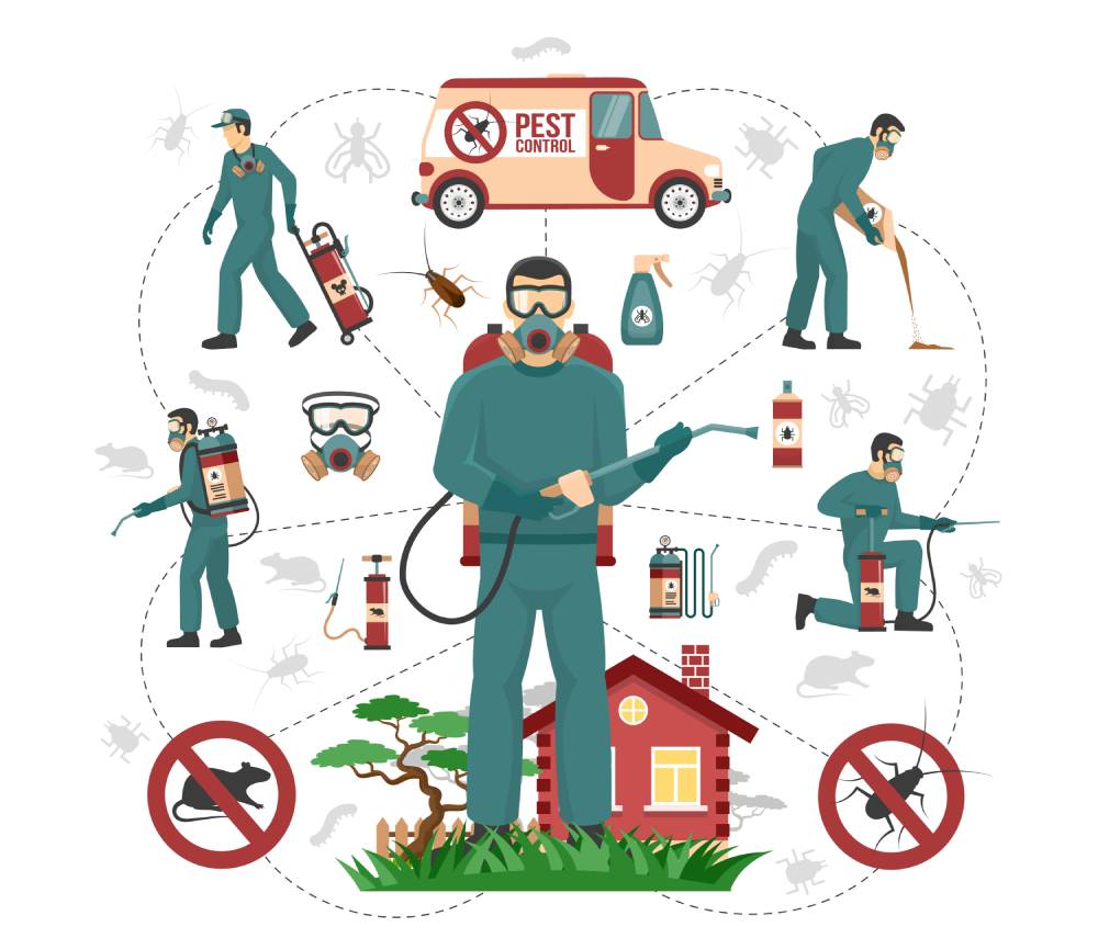 pest control team Adelaide