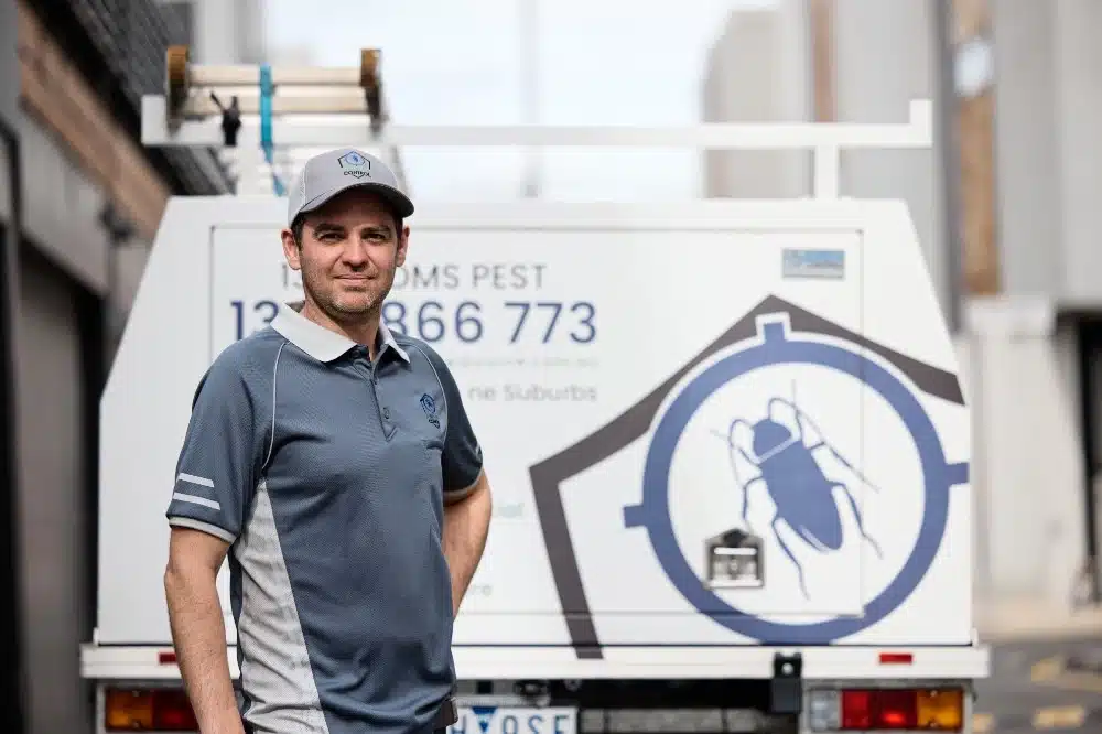 spider inspection and treatment